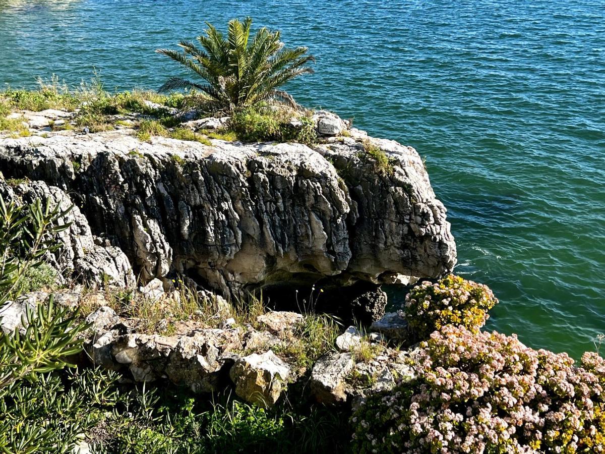 Apartment Ocean Dream Cascais